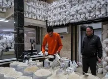 عرضه برنج ۵۰ تا ۶۶ هزار تومانی در بازار