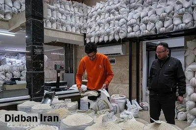 عرضه برنج ۵۰ تا ۶۶ هزار تومانی در بازار