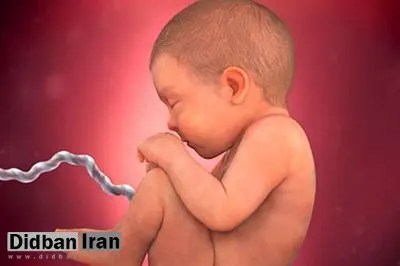 تصمیم عجیب وزارت بهداشت؛ مجوز تولید و واردات کیتهای غربالگری سه ماهه اول بارداری متوقف شد؟