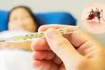 زنگ خطر شیوع تب دنگی در این منطقه به صدا در آمد