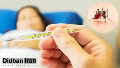 زنگ خطر شیوع تب دنگی در این منطقه به صدا در آمد