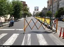 عبور نمایندگان از خط ویژه «قانونی» است؟