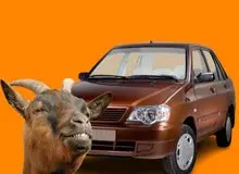 کار به معاوضه خودرو با بز رسید!