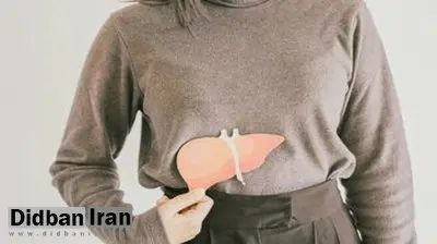فواید شربت شاتره و کاسنی برای درمان بیماری های کبد