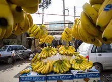 ماجرای واردات موز از اسرائیل صحت دارد؟