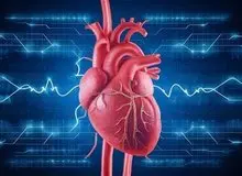 بهترین ورزش‌ها برای تضمین سلامت قلب
