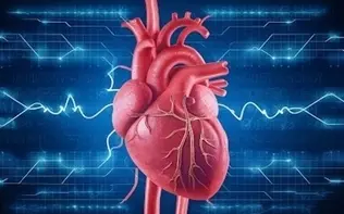 بهترین ورزش‌ها برای تضمین سلامت قلب
