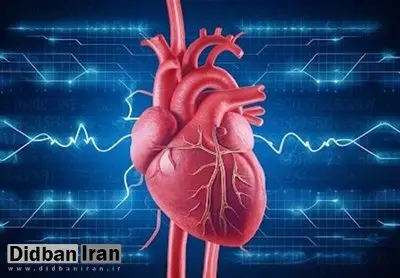 بهترین ورزشها برای تضمین سلامت قلب