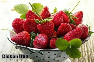 تاثیر توت فرنگی بر  درمان بیماری ها 