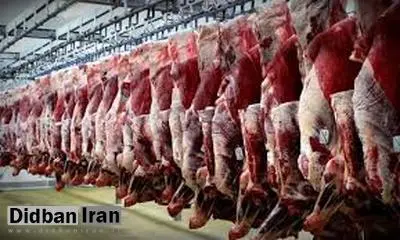 دستگیری مظنونان فروش گوسفند مرده در شیراز