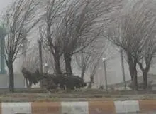 هشدار وزش باد شدید در تهران