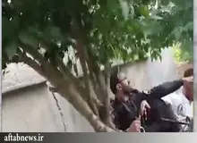 توضیح پلیس درمورد ویدیوی درگیری مامور پلیس و دختری جوان
