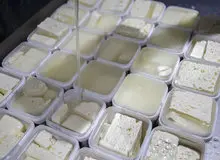 پنیر در میادین ۸ درصد گران شد+جدول قیمت 