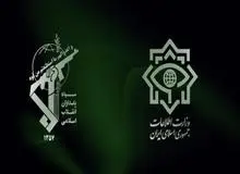 فرماندار سرپل ذهاب: سلطنت طلبان را دستگیر کردیم 