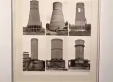 ببینید:هجوم حشرات به موزه هنرهای معاصر +فیلم