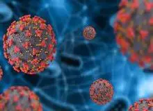 یک اپیدمیولوژیست: سویه جدید کرونا بیشتر از پنج روز در بدن نمی‌ماند