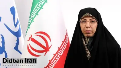 مدنیزاده گزینه مناسبی برای وزارت اقتصاد است/ او برنامه های خوبی برای تحقق اهداف برنامه هفتم دارد