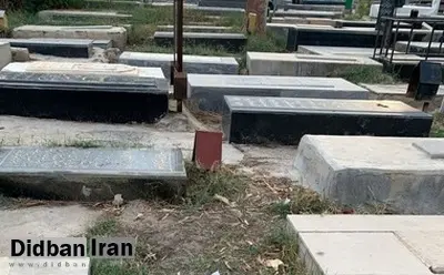 کشف جسد یک نوزاد در قبرستان گناوه بوشهر/ عکس 18+