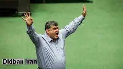 نماینده مجلس: پس از تصویب قانون توسط شورای نگهبان، هیات عالی نظارت مجمع آن را شخم می‌زند!