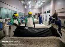  ۳۱هزار و ۲۰۰ شهروند تهرانی از ابتدای شیوع کرونا تا کنون جان خود را از دست داده اند