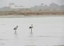 کاهش عجیب وسعت دریاچه ارومیه نسبت به سال گذشته