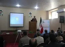 دشت ورامین در معرض نابودی است/تنها 31 هزار هکتار زیر کشت محصولات کشاورزی میرود