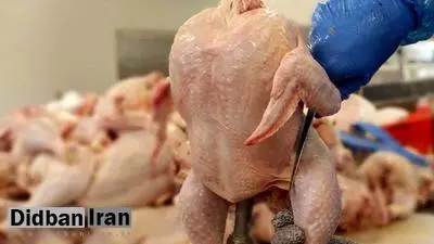 قیمت بال مرغ به ۱۱۲ هزار تومان رسید