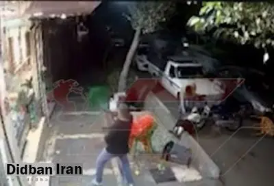 درگیری میان باند اوباش و زورگیران شرق تهران/ زورگیران قداره کش پیرزن را کتک زدند+فیلم
