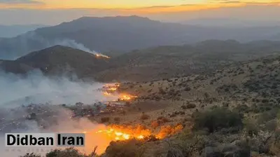 آتشنشانی: آتشسوزی روز گذشته در کوه دراک شیراز ادامه دارد