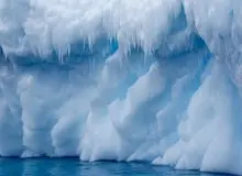 نتیجه بررسی «دی‌ان‌ای» اختاپوس‌ها: صفحه‌های یخ در قطب جنوب احتمالا زودتر از انتظار فرو می‌ریزند