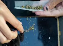 مصرف ماری‌جوانا خطر حملات قلبی و سکته مغزی را افزایش می‌دهد