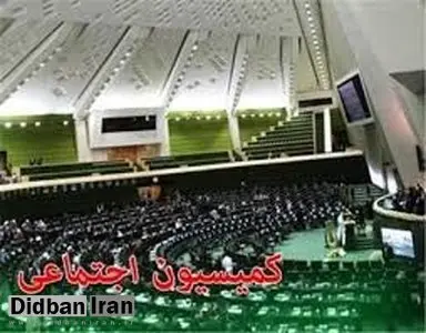 مخالفت کمیسیون اجتماعی با مستثنی شدن ماموریت مسئولان وزارت خارجه از قانون نظارت بر سفرهای خارجی
