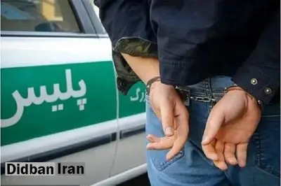 باند گوریل در تهران منهدم شد
