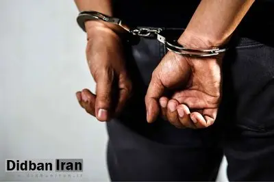 بازداشت یک تهیهکننده سینما به اتهام جرایم مالی حین فیلمبرداری در شمال کشور