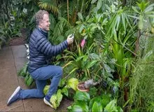 گفت‌وگو با گیاهان ممکن شد