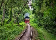 مجوز قطع درختان مسیر راه‌آهن رشت – آستارا صادر شد؟