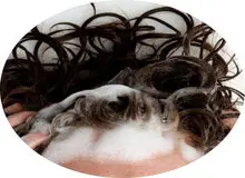 با موی خیس نخوابید؛ این همه مرض در انتظارتان است