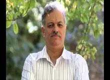 دولت باید قوانینی که مانع توسعه کشور می شود را اصلاح کند 