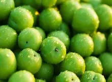 خواص بی‌نظیر گوجه سبز برای سلامتی
