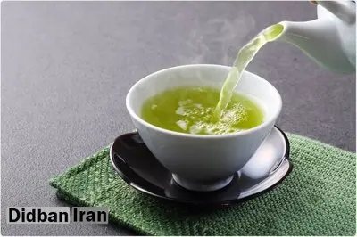 چای سبز تاثیر چندانی در کاهش وزن ندارد / امگا ۳ برای تقویت مفاصل زانو مفید است