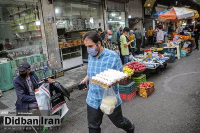 واکنش نماینده مجلس به احتمال افزایش شش برابری قیمت تخم مرغ/ کاظمی: کشور مسائل مهمتری از قیمت تخم‌مرغ دارد