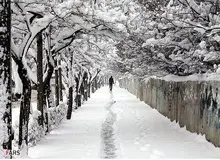 بارش برف بهاری مدارس اردبیل را تعطیل کرد