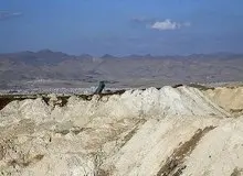 صادرات سرطان از زنجان به دلیل ورود شیرابه پسماندهای «روی» به اراضی کشاورزی/ 
دپوی بیش از ۱۰ میلیون تن پسماند ناشی از تولید روی در یک منطقه