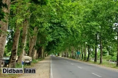 داستان خانواده‌ای که ۴سال پیش، پس از مهاجرت از تهران به فومن راهی برای کمک به نیازمندان ایجاد کردند
