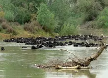 منافع استان خوزستان، باید اولین اولویت ما باشد