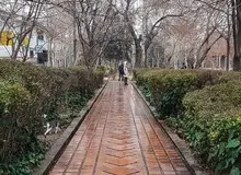 بارش پراکنده در تهران تا یکشنبه؛ ارتفاعات یخبندان می‌شود