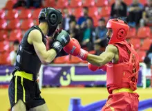 ورود مربیان چینی تیم های ووشو ایران به تهران
