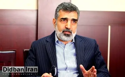 سخنگوی سازمان انرژی اتمی: دیده شدن ذرات اتمی ۸۴ درصد از لحاظ فنی طبیعی است