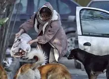 افزایش سگ‌های ولگرد با ژست‌های اینستاگرامی
