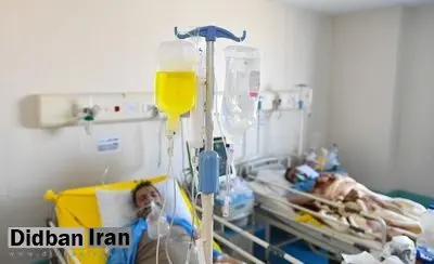 پژوهشگاه مهندسی ژنتیک: کشف ۲۳ جهش ویروس کرونا در کشور/ ۴ جهش مختص ایرانیها است